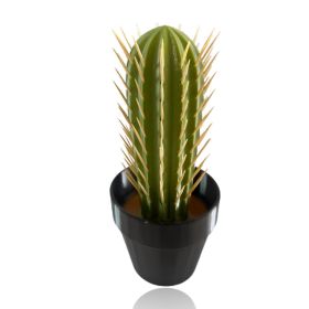 Cactus Toothpick Holder (Color: Green)